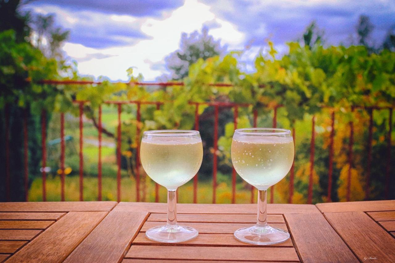 Hébergement de vacances Adorable Maison, Terrasse Avec Vue Sur Bocage Proche Mont St-michel Saint-Laurent-de-Terregatte